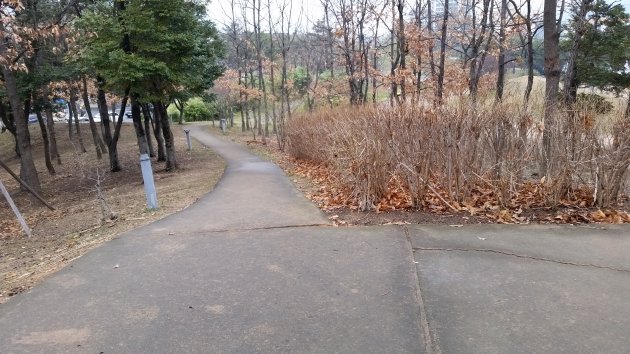 首陵園の西側の散策路